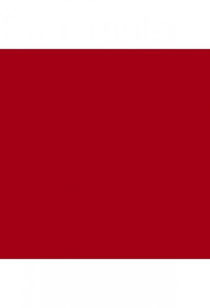 Gelosophy #005 Ruby Sun 15ml